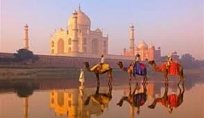 gallery of india