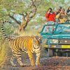 An Adventure Through India's Heart and Wild Side